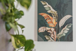 Renetta cipat 804176 foto 12