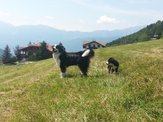 WhatsApp Image 2019-02-19 at 11.36.05