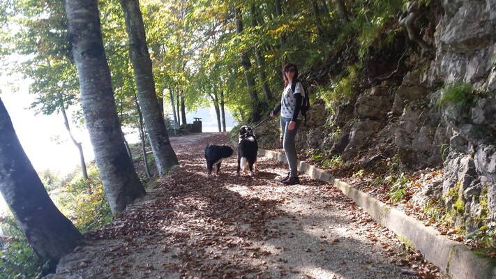 WhatsApp Image 2019-02-19 at 11.34.07