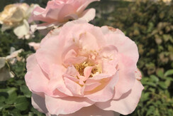 66F74FEC-606C-4768-B0F4-F8BB2C8DF6EC