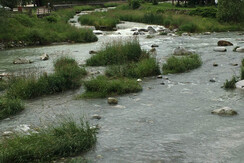 80F6BE85-0150-4E44-B950-999939CABAB8