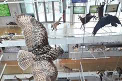 B75980BA-7387-4E02-A95C-47A0B7F6FE91