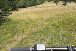 2663AF04-74A0-487A-A7BE-E76753A91E29