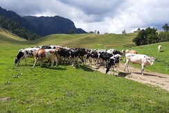 50A7E2FC-2BF2-4F78-A6BC-93097F1F0DB7