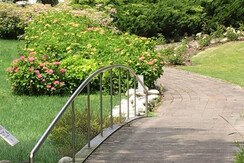 33FAA244-C981-4C2A-8895-590593527BCD