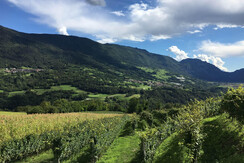 3108A711-B747-45A4-A13E-B694A941C629