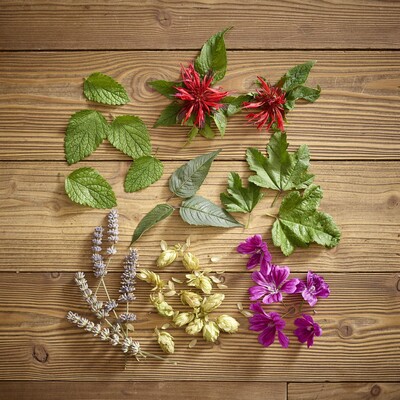 Tisana_dolce_serenata_1