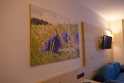 Camera 1_Panasonic_2