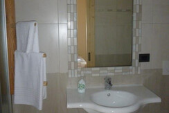 stella alpina servizi