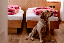 CENTRALE_FOTO_27-05-2020 (100 di 146)-min