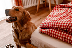 CENTRALE_FOTO_27-05-2020 (101 di 146)-min