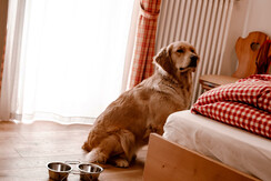 CENTRALE_FOTO_27-05-2020 (99 di 146)-min