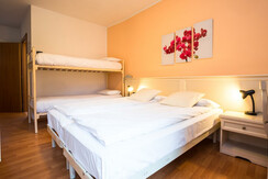 camera tripla standard