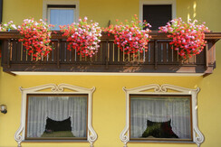 balconi fioriti
