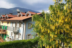 20200613_182639 (FILEminimizer)