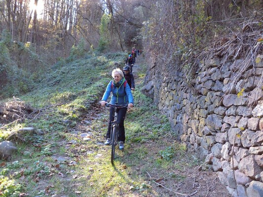 In Bike alla scoperta del Trentino | © B&B Alla Loggia dell'Imperatore