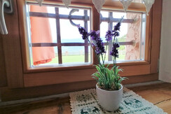 IMG_20200829_111730 (2)