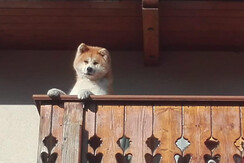 12F43334-D589-4A5A-8BB4-E726334D12A7