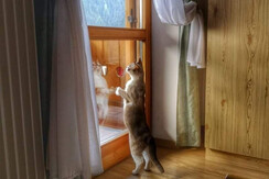 7A9FCBE2-C75C-43B1-8883-BCF70A1271FF