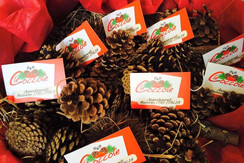 12316120_931168976920442_6221844440856614296_n