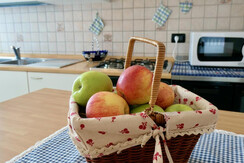 843CDF69-434D-4752-A72C-2EE6F6C388B0_1_105_c