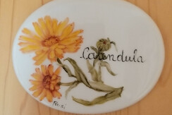 calendulaporta