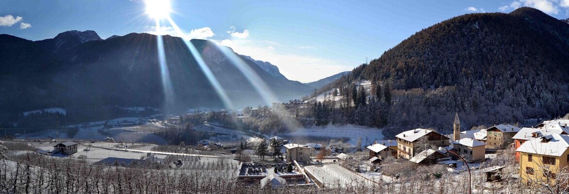 Panorama - B&B Casa dei Ricci - Malè - Val di Sole