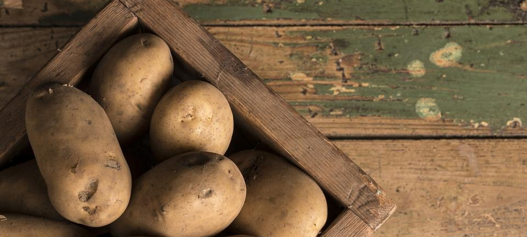 La raccolta dei frutti dell’inverno