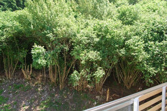 nature_3_feeling_hotel_fontanella_molveno