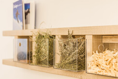 MAUROMARIOTTI2017_RIC4198