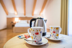 Stanza famigliare Alpen