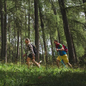 Waldbaden im Val di Fiemme