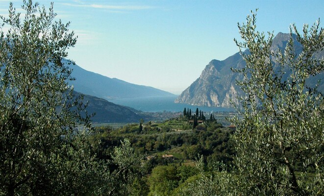 View from olive grove | © Laghel 7 Agritur