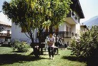 meffei trentini loredana