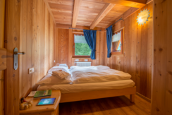 Mas de la Bolp, Val di Rabbi, Trentino, Genzianell