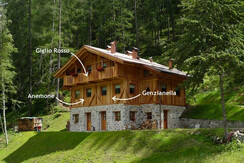 MAS DE LA BOLP, TRENTINO, APPARTAMENTI