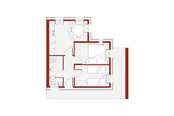 Anemone_piantina_1200