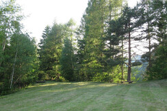 il prato vicino alla baita a giugno