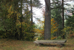 la panchina nel prato ai michei in autunno