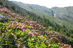 passeggiata sulle cime a luglio