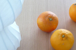 Dettaglio Ortensia bis