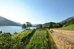 strada accesso alle case