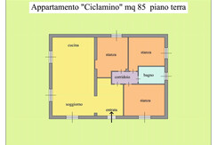 CICLAMINO
