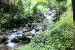 natura selvaggia Trentino hotel Miralago