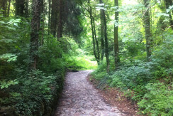 passeggiate trekking Hotel Miralago Valsugana