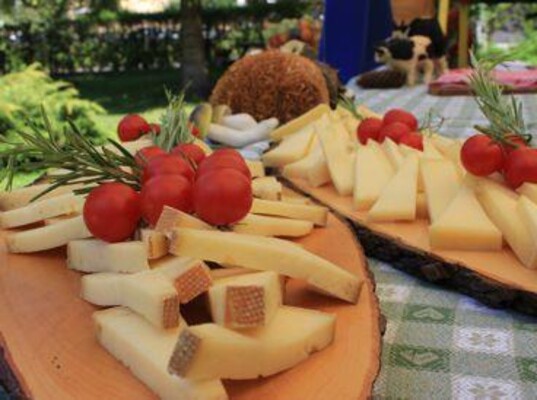 settimana_del_puzzone