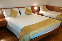 QUADRUPLA FAM STANDARD