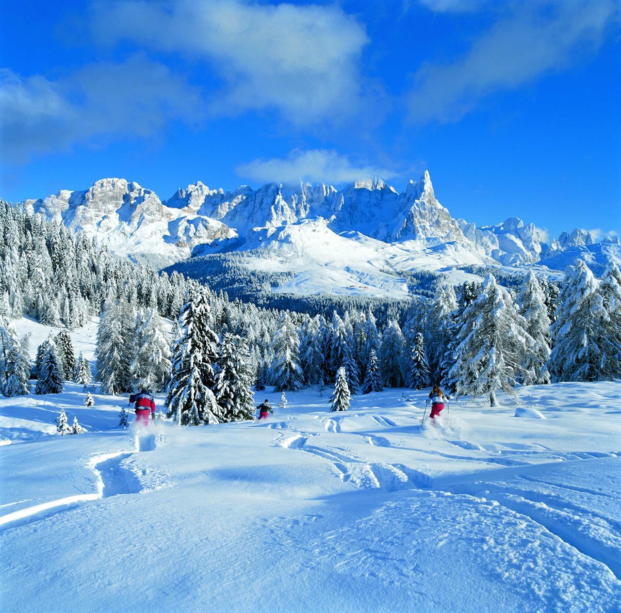 Alps ski skiing. Валь ди Фьемме Италия. Доломитовые Альпы Кавалезе. Валь ди Фьемме горнолыжка. Val di Fiemme (Валь ди Фьемме).