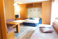 SKI Residence Monolocale