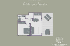 Piantina Apt.#1 | Dependance eriobotrya japonica